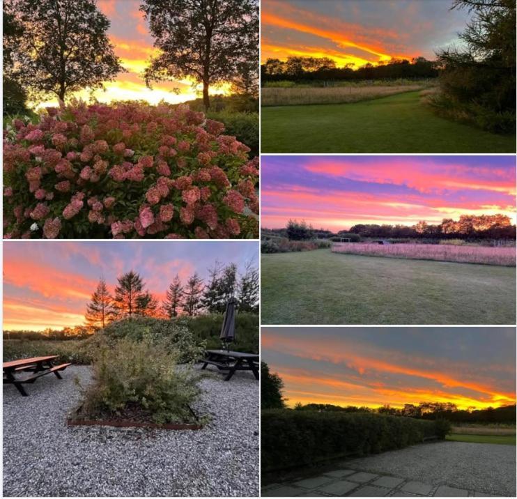 Egebjerggaard Bed & Breakfast Sig Exteriér fotografie